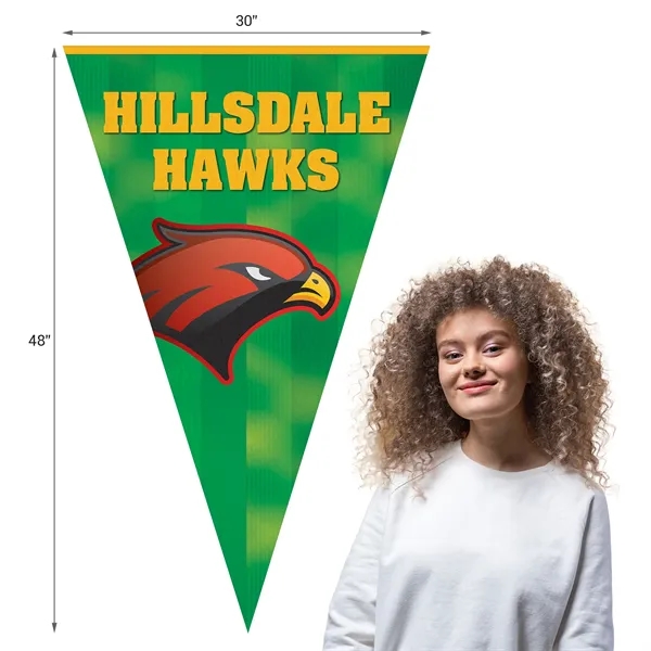 30" x 48" Vertical Triangle Shaped Felt Banner.... from ASI 80228 Quinn