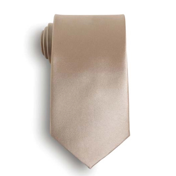 Beige solid color men's tie - choose from 25 in stock... from ASI 98085 Wolfmark
