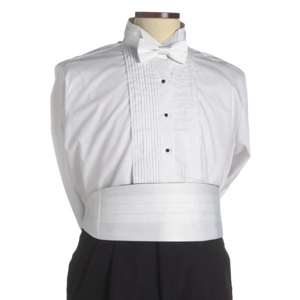 Polyester cummerbund with elastic back.... from ASI 98085 Wolfmark