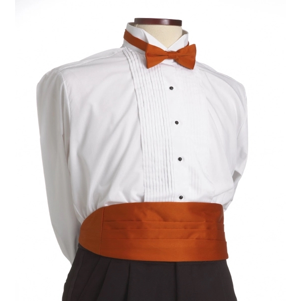 Polyester cummerbund with elastic back.... from ASI 98085 Wolfmark