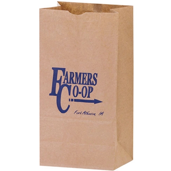 7" x 4 1/2" x 13 1/4" natural Kraft heavy duty... from ASI 35290 American Ad Bag Co / American Ad Bag