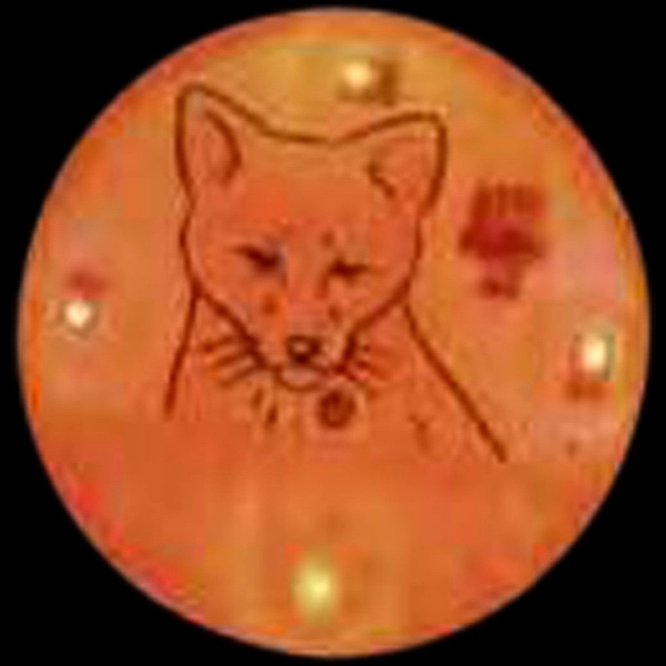 Custom fox design flash lapel pin with flashing light.... from ASI 36988 Artek USA Inc / Artek™