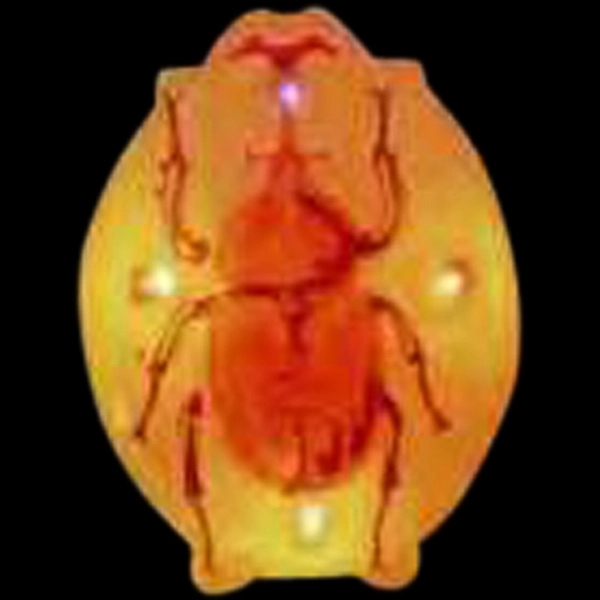 Custom roach shape flash lapel pin with flashing light.... from ASI 36988 Artek USA Inc / Artek™