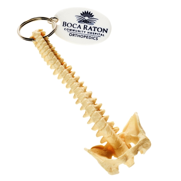 Spine shape keychain.... from ASI 52710 Lincoln Line / Essef