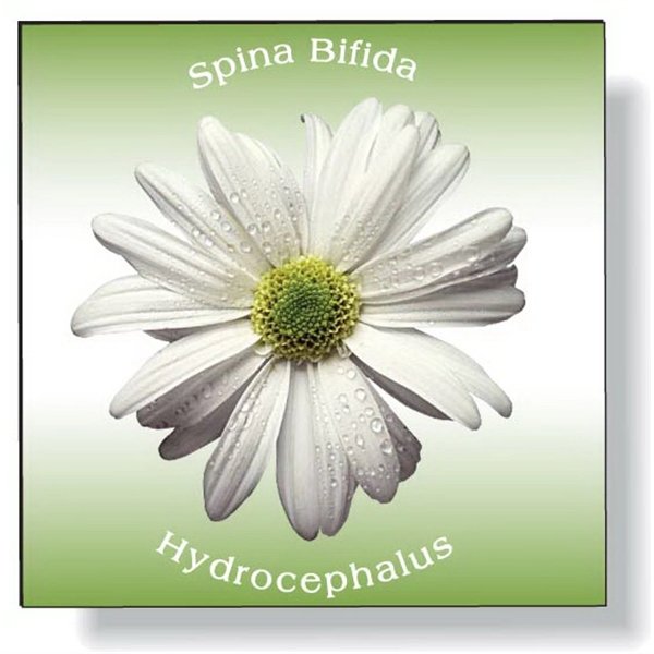 Auto Magnet 35 mil white vinyl top coat car magnet. Full... from ASI 87400 ArtechPro