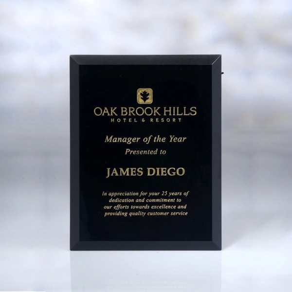 Awards-black glass plaque. 7"w x 9"h, Sits / Hangs Vertically or... from ASI 41511 Brainchild USA Inc / BrainChild Gift Club