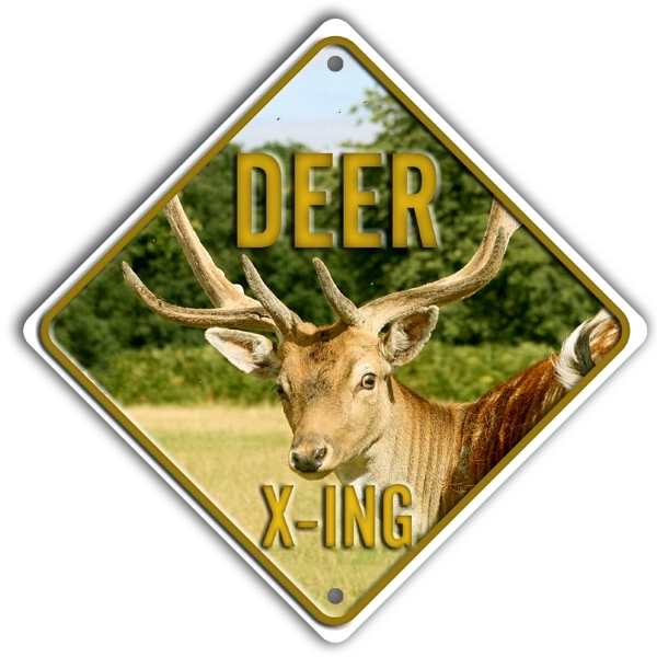 6" x 6" crossing sign with two holes.... from ASI 50120 Dixie Seal & Stamp Co Inc / Dixiline