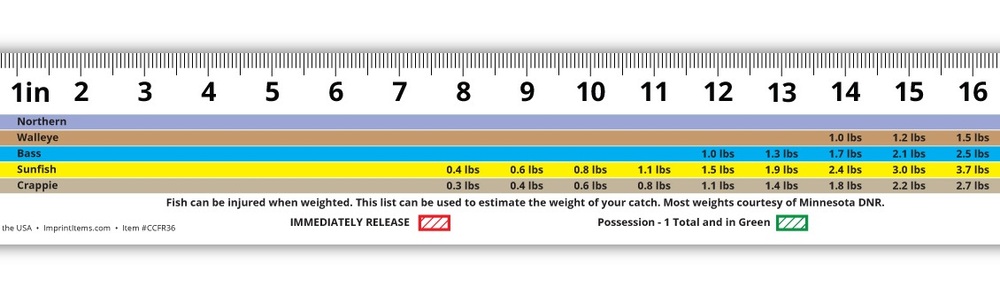 Custom length and printed fish ruler in plastic, paperboard or soft... from ASI 56100 Gemini Ind Inc